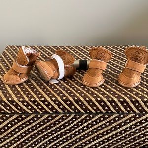 Chihuahua Uggs🤣 Size 1